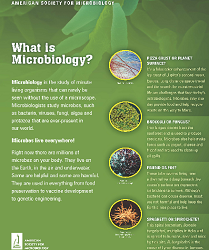 What is Microbiology Poster FREE What is Microbiology? Poster
