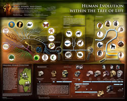 2011 human evolution FREE Poster from Howard Hughes Medical Institute 