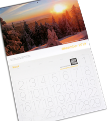 Telect 2012 calendar FREE 2013 Telect Calendar