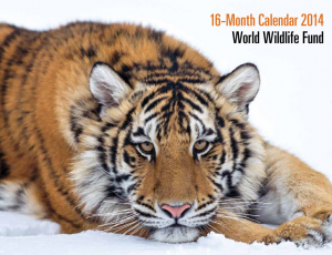 free-wildlife-calendar