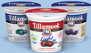 Tilamook Yogurt BOGO FREE Tilamook Yogurt Coupon