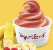 Yogurtland strawberry banana
