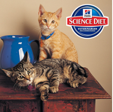Science Diet Giveaway FREE Hill’s Science Diet Crunchy Creations Gift Baskets Giveaway