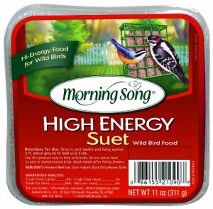 Free Morning Song Bird Food