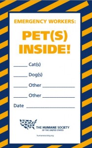free-pets-inside-window-decal