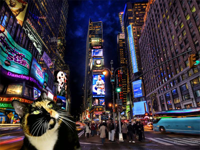willow-in-times-square