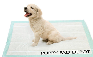 puppy pad
