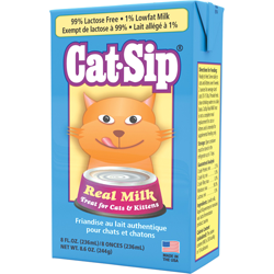 Cat-Sip