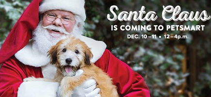free-photo-of-your-pet-with-santa-at-petsmart